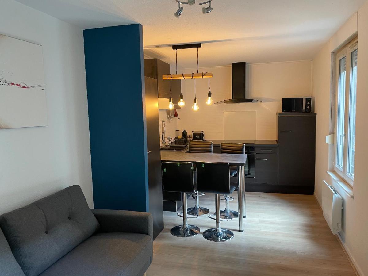 Beau T2 Au Calme Et Au Centre De Straßburg